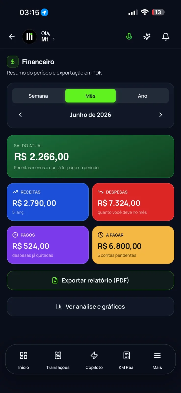 Tela Copiloto